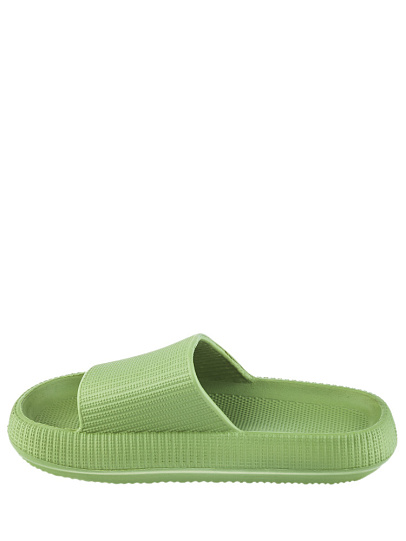 212853-0 Сланцы